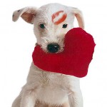 3 Tips for Finding True Love Any Time of the Year