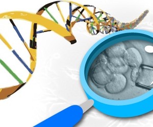 Starr Foundation Continues Support for Stem Cell Research in New York with $50 Million Gift